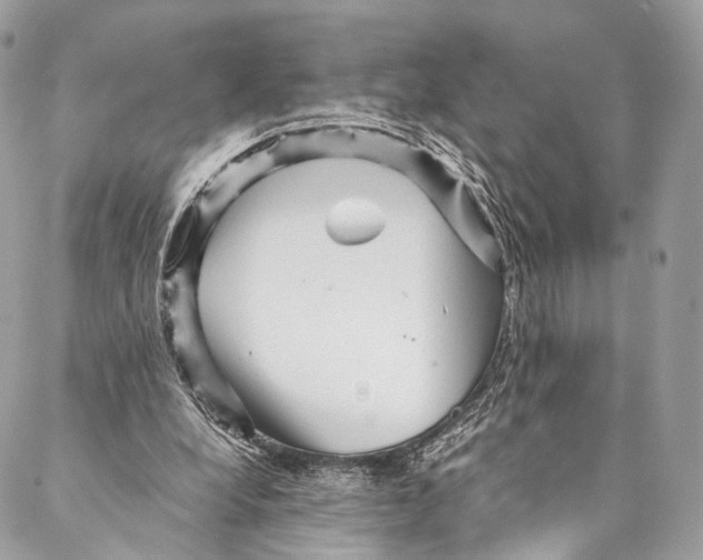 X0000087390248200705111808