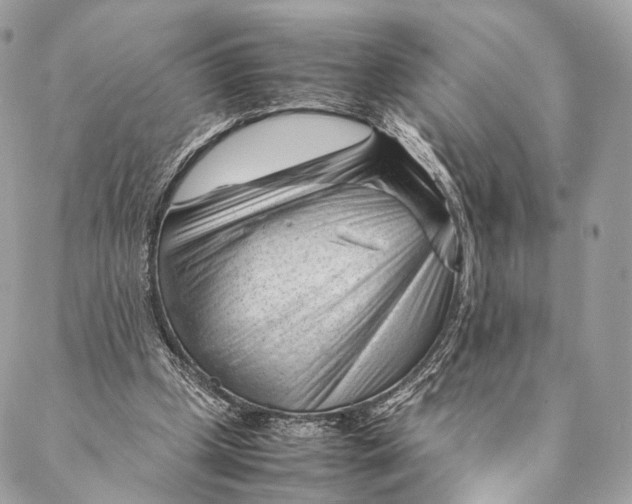 X0000087390249200705111808