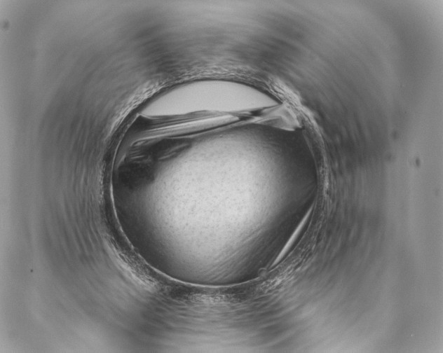 X0000087390250200705111808