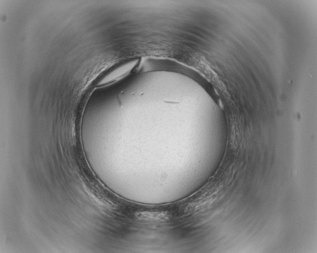 X0000087390251200705111808