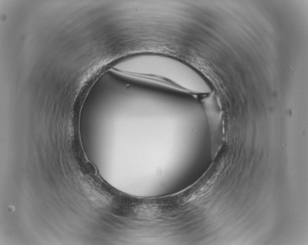 X0000087390252200705111808