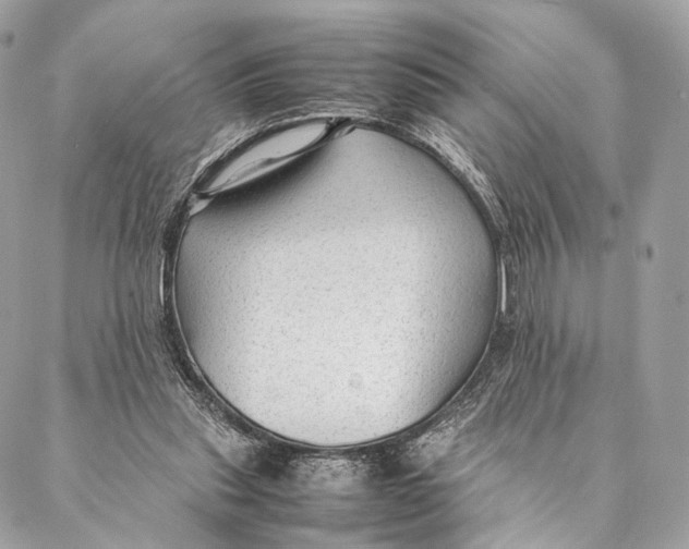 X0000087390253200705111808