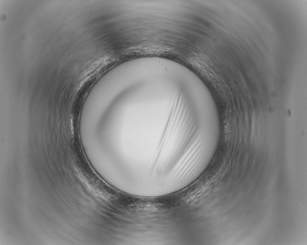 X0000087390254200705111808