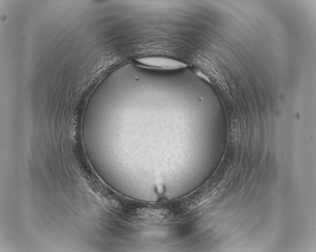 X0000087390255200705111808