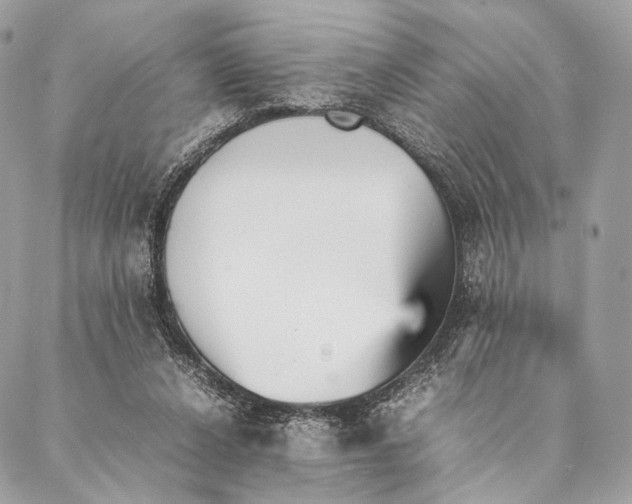 X0000087390256200705111808