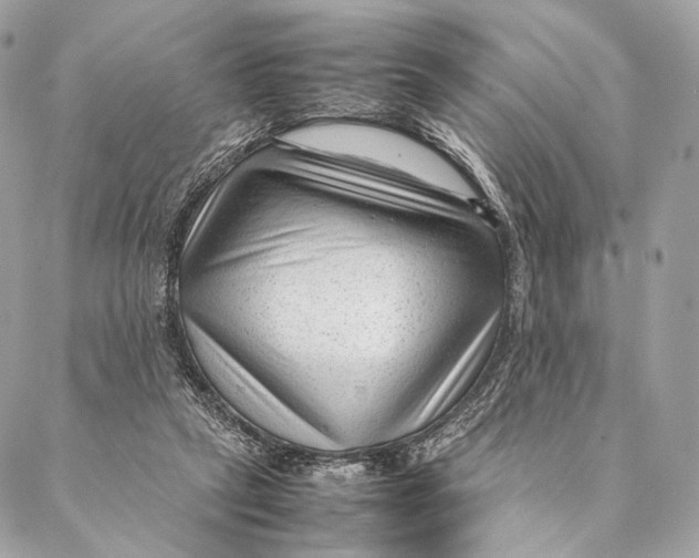 X0000087390257200705111808