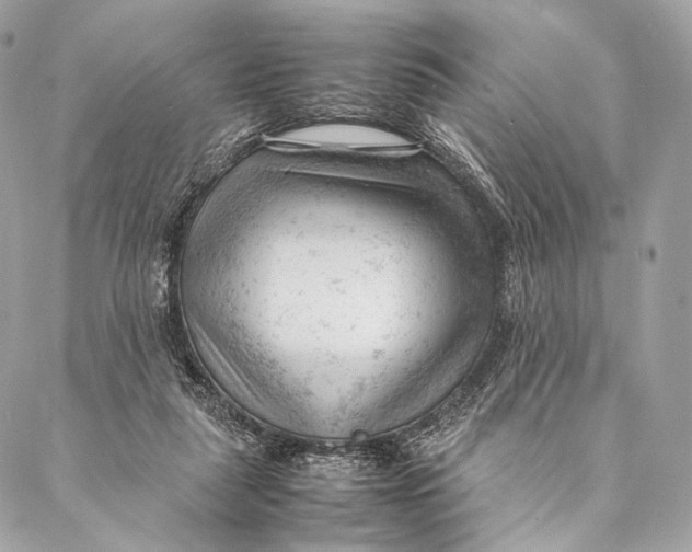 X0000087390259200705111808