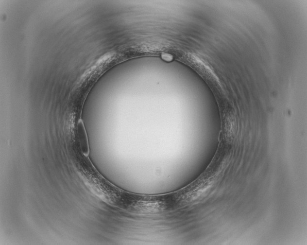 X0000087390260200705111808