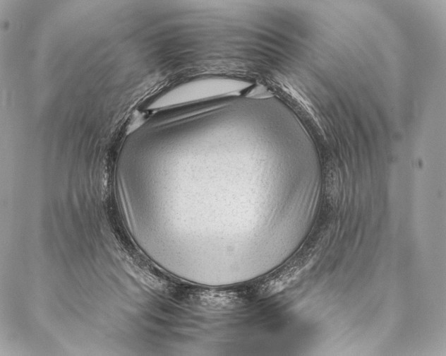 X0000087390261200705111808