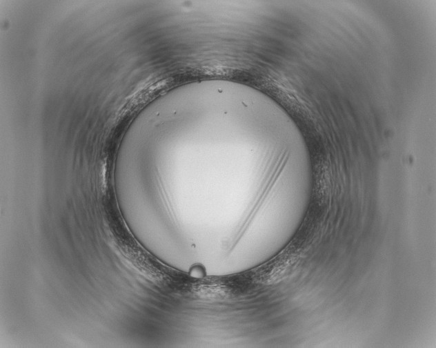 X0000087390262200705111808