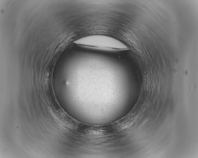 X0000087390263200705111808