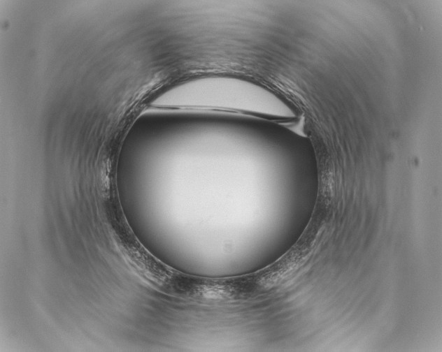 X0000087390264200705111808