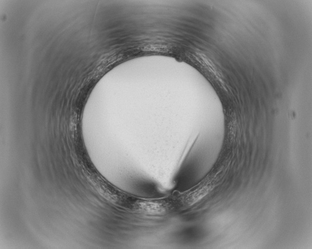 X0000087390265200705111808