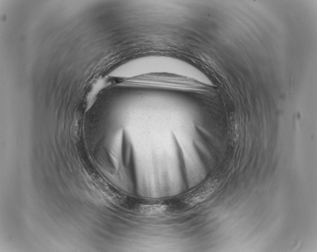 X0000087390266200705111808