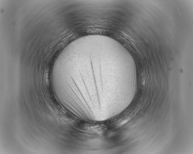 X0000087390267200705111808