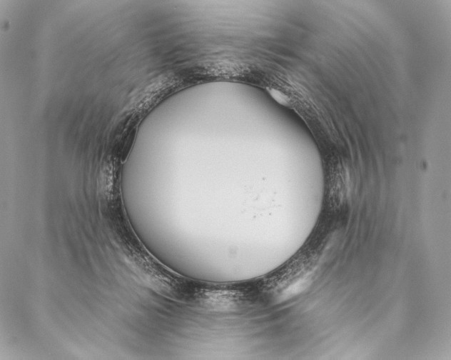 X0000087390268200705111808