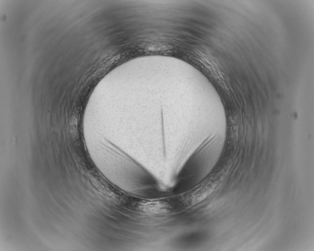 X0000087390269200705111808