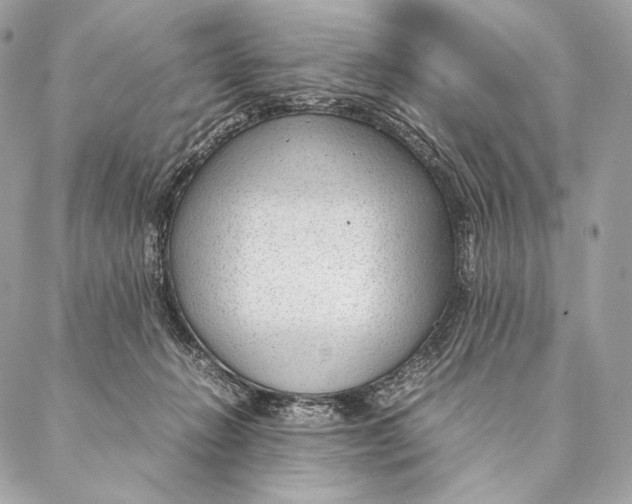 X0000087390270200705111808