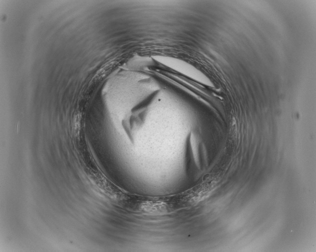 X0000087390271200705111808