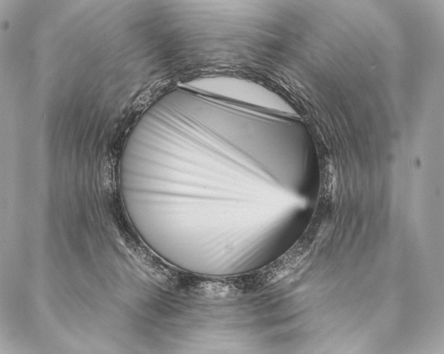 X0000087390272200705111808