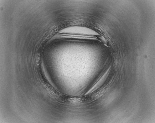 X0000087390273200705111808