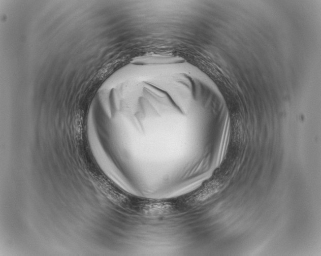 X0000087390274200705111808