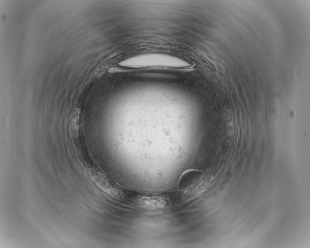 X0000087390275200705111808