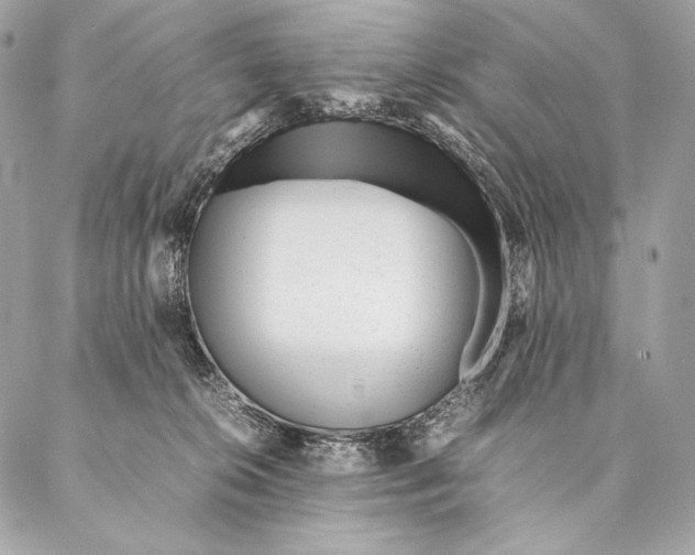 X0000087390276200705111808