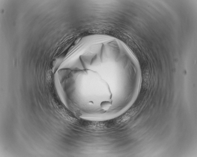 X0000087390278200705111808