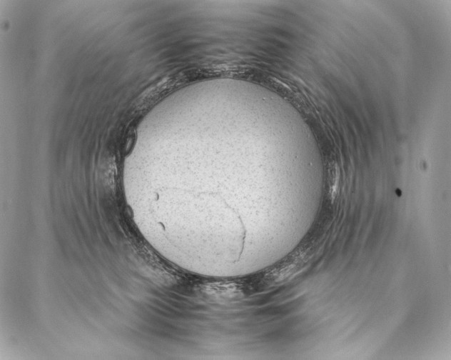 X0000087390279200705111808