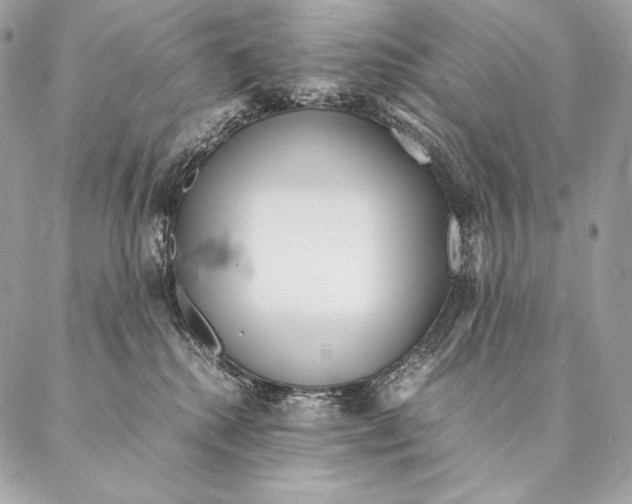 X0000087390280200705111808