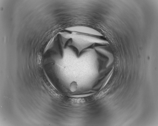 X0000087390281200705111808