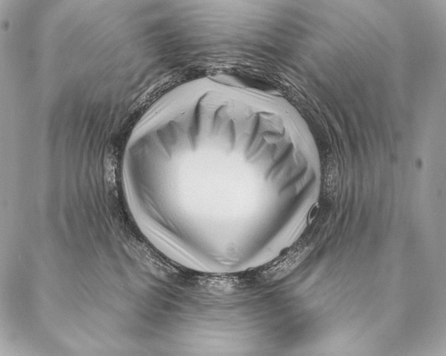 X0000087390282200705111808