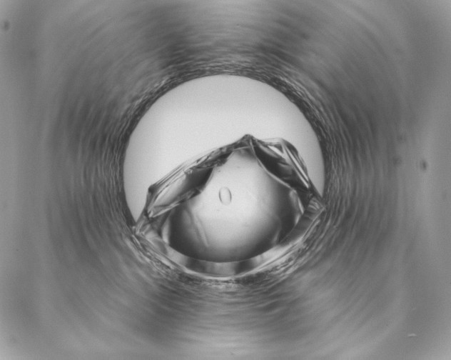 X0000087390284200705111808