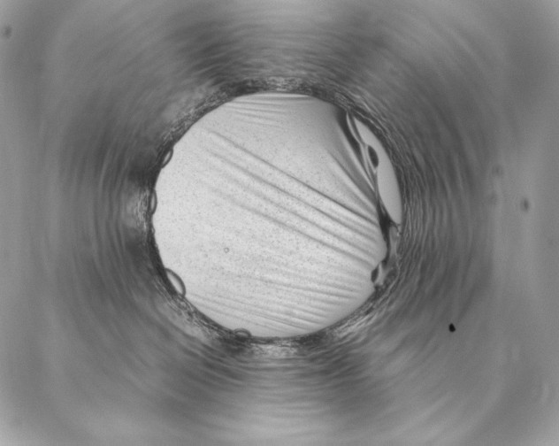 X0000087390286200705111808