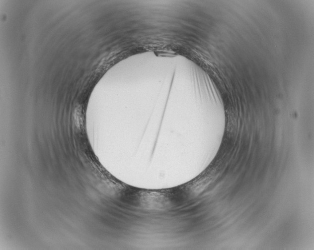 X0000087390287200705111808