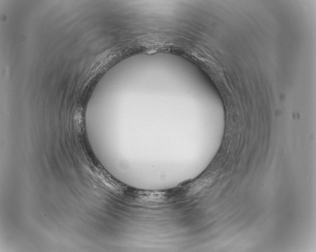 X0000087390288200705111808