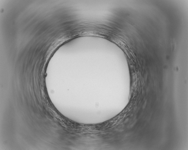 X0000087390289200705111807