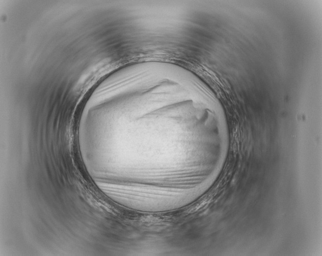 X0000087390290200705111807