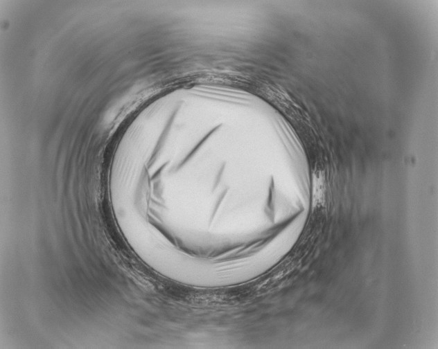 X0000087390291200705111807