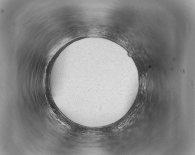 X0000087390292200705111807