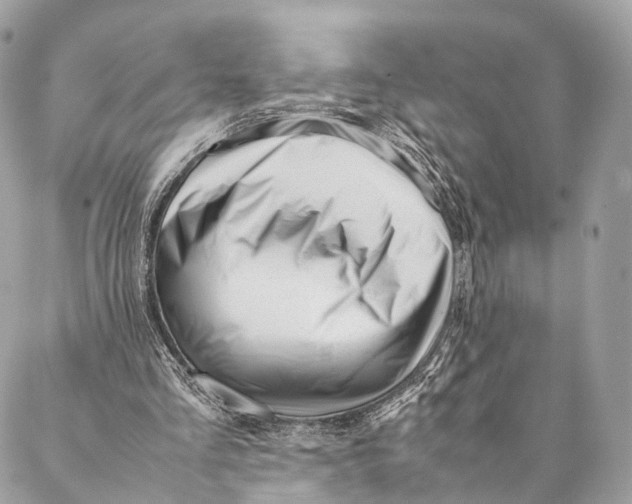 X0000087390293200705111807