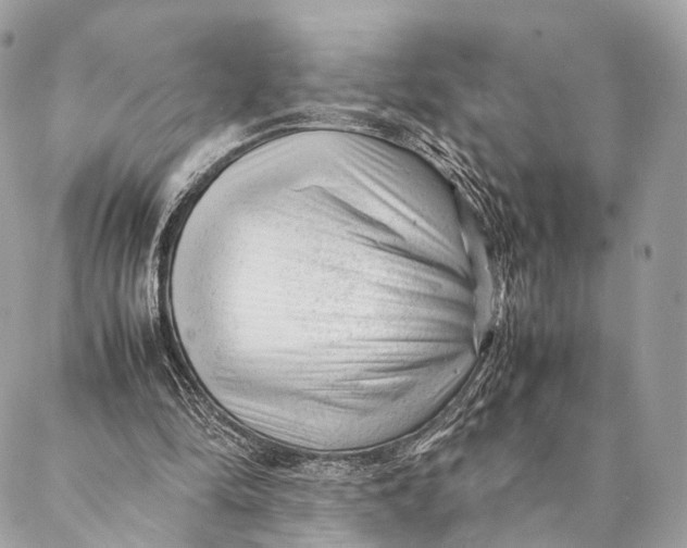 X0000087390294200705111807