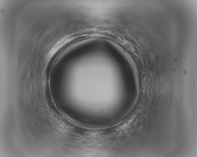 X0000087390295200705111807