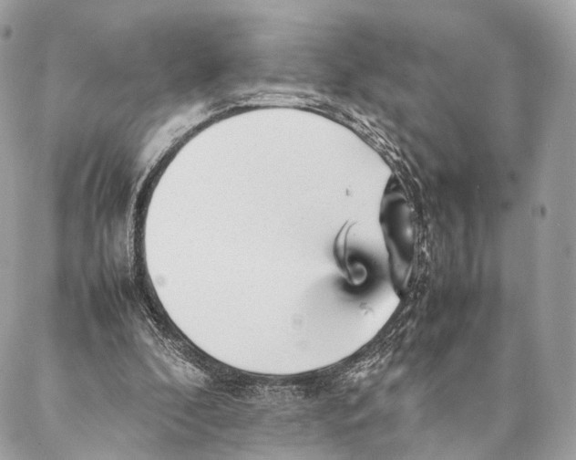 X0000087390296200705111807