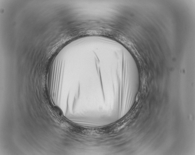 X0000087390297200705111807