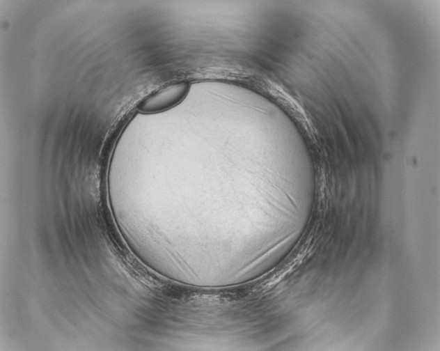 X0000087390298200705111807