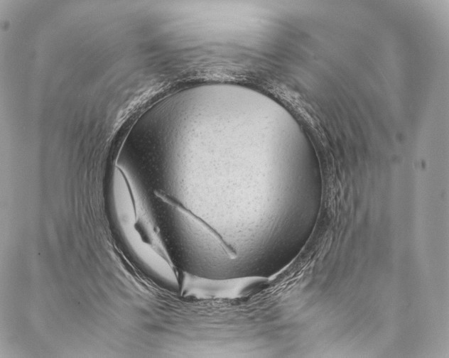 X0000087390299200705111807