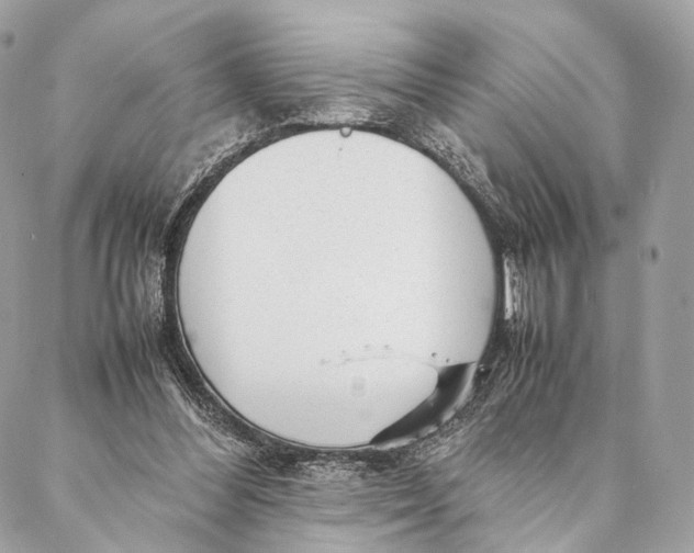 X0000087390300200705111807