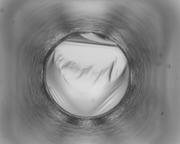 X0000087390301200705111807